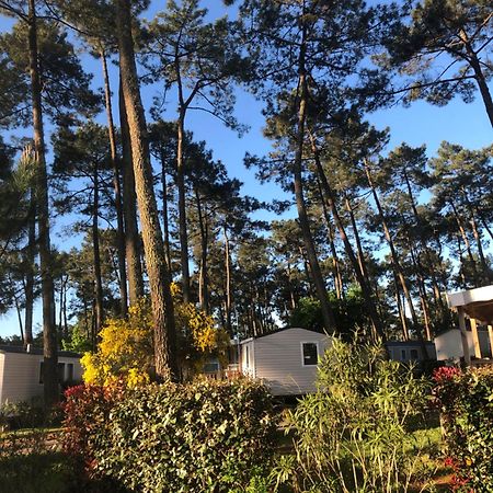 Mobile Home - Les Dunes de Contis Saint-Julien-en-Born Extérieur photo