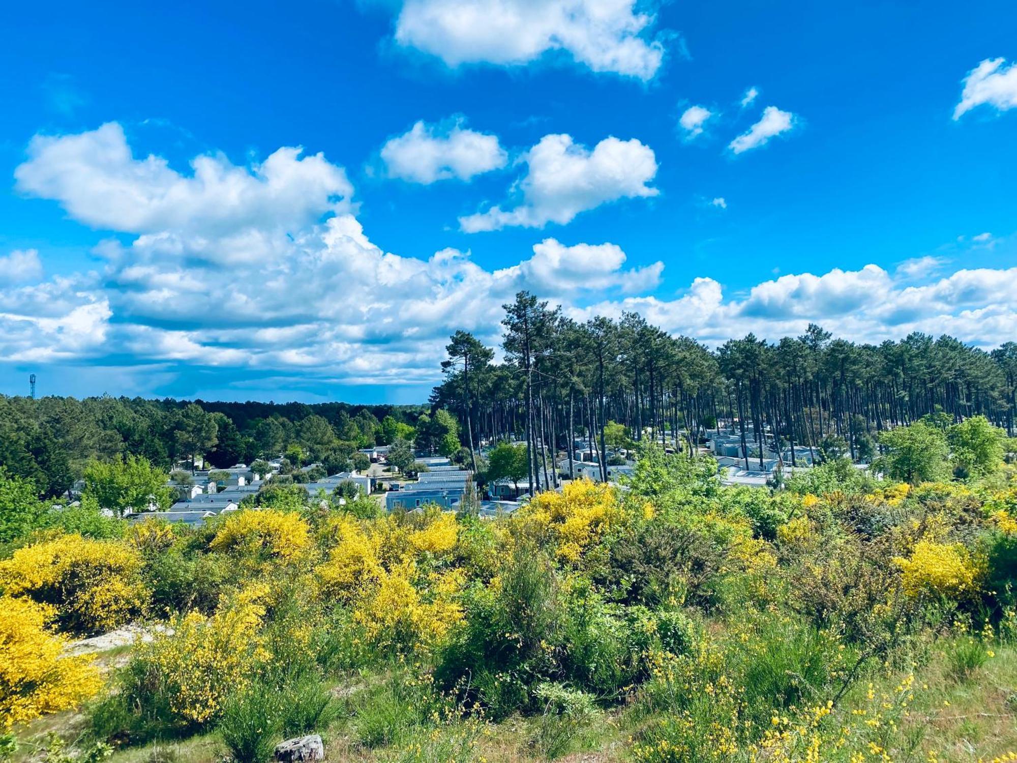 Mobile Home - Les Dunes de Contis Saint-Julien-en-Born Extérieur photo