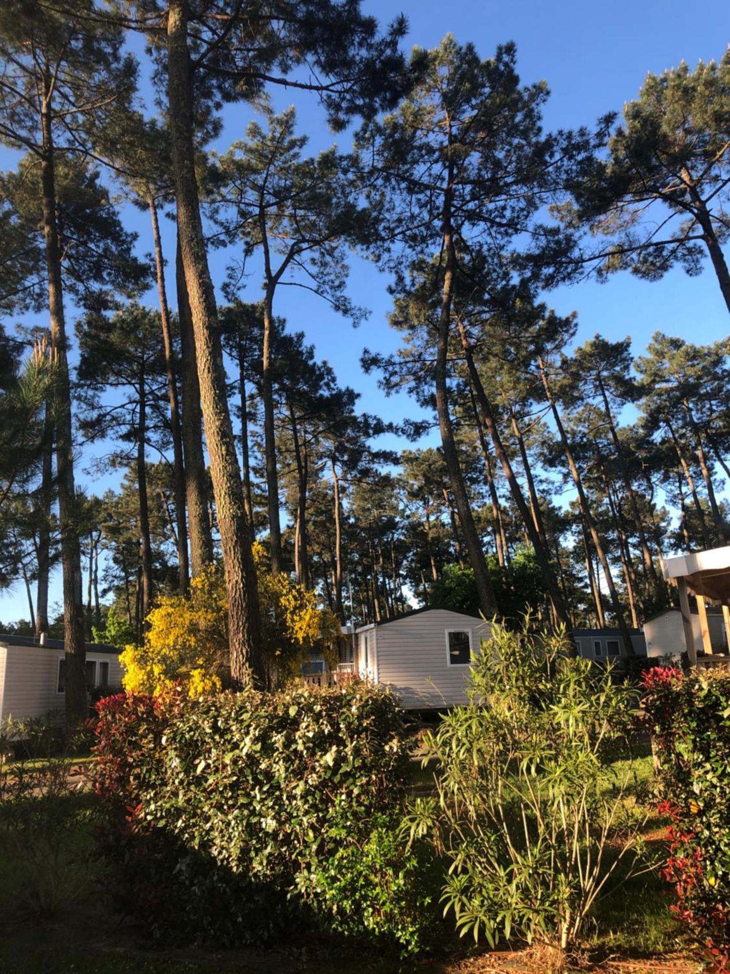 Mobile Home - Les Dunes de Contis Saint-Julien-en-Born Extérieur photo